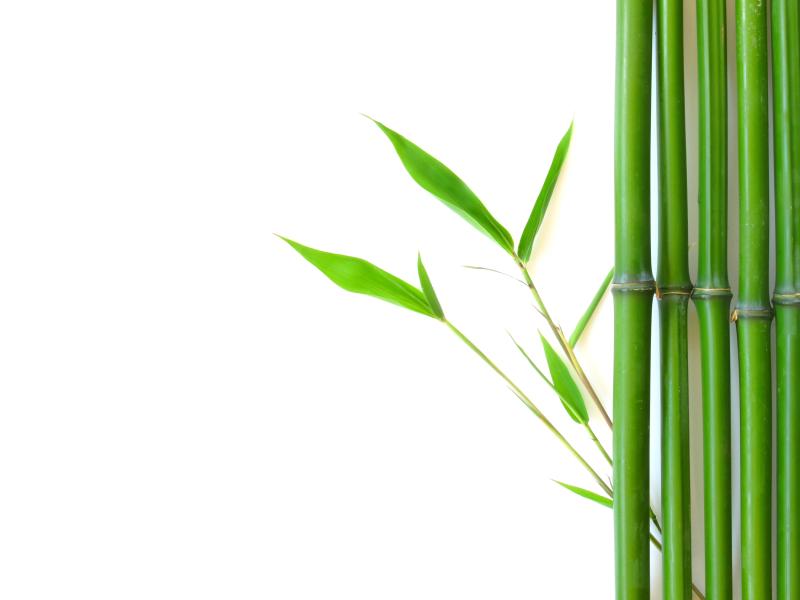 Bamboo Graphic Quality Backgrounds for Powerpoint Templates - PPT ...