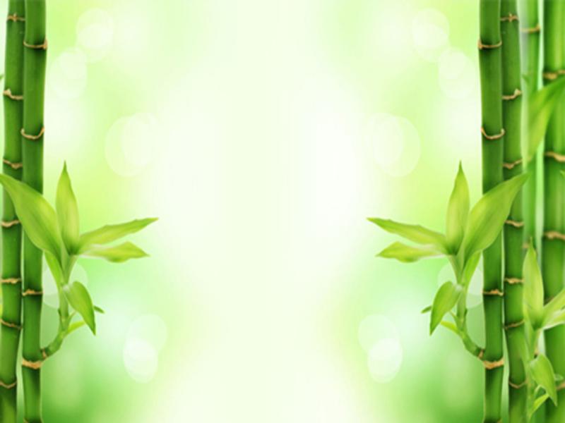 Bamboo Strength PowerPoint Template Wallpaper Backgrounds