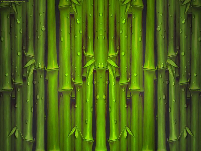 Bamboo Textured  Slides Backgrounds