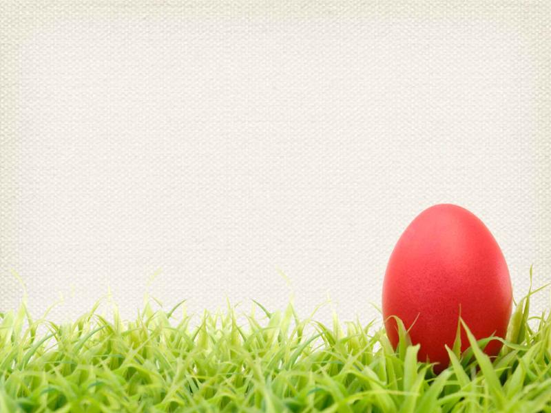 Banner Easter Der Easter Egg Picture Backgrounds