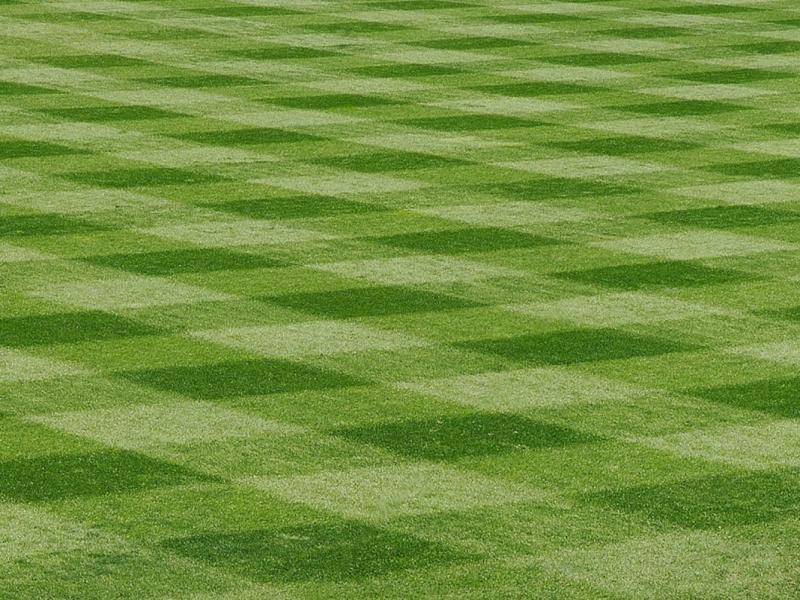 Baseball Field Graphic Backgrounds