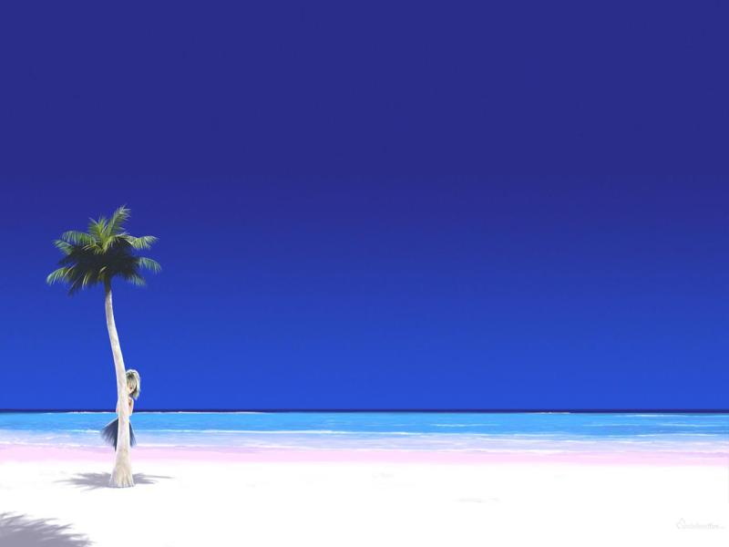 Beach Presentation Backgrounds