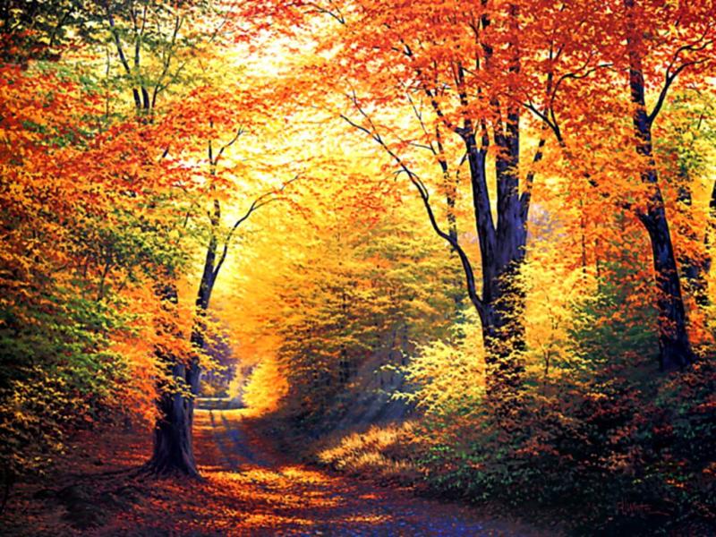 Beautiful Autumn Seasons HD  Nices Clipart Backgrounds