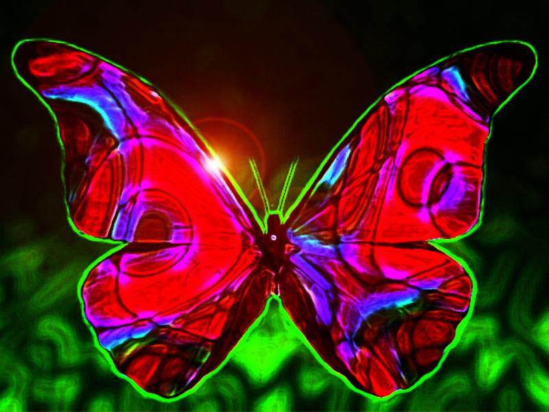 Beautiful Butterflies Art Backgrounds