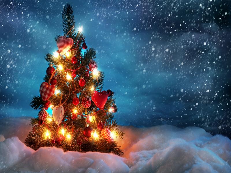 Beautiful Christmas Trees  HDs Quality Backgrounds