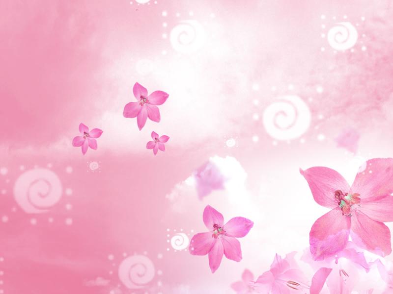 Beautiful Flowers For PowerPoint  Flower image Backgrounds