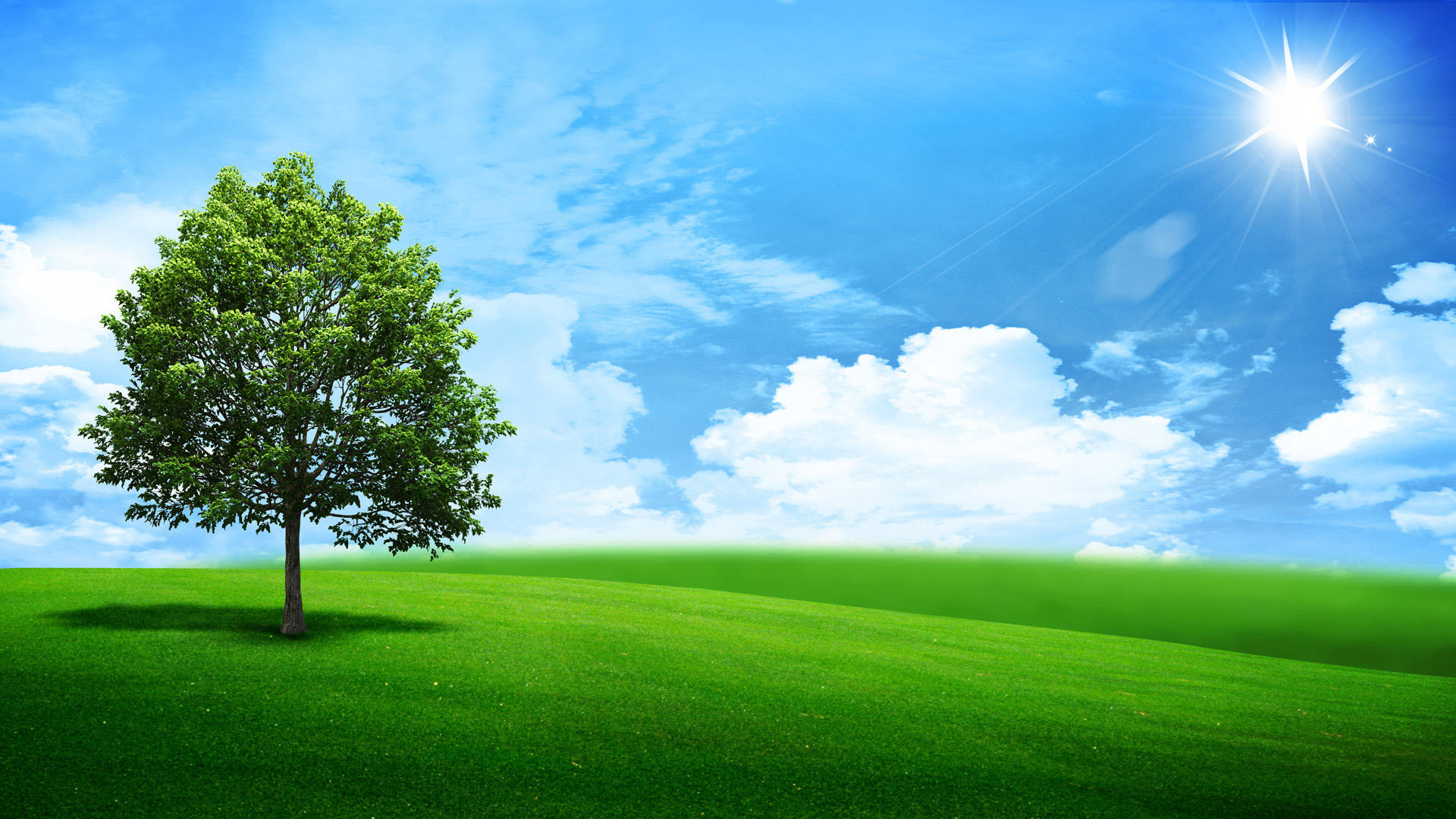 Beautiful Green Landscape Wallpaper Backgrounds for Powerpoint