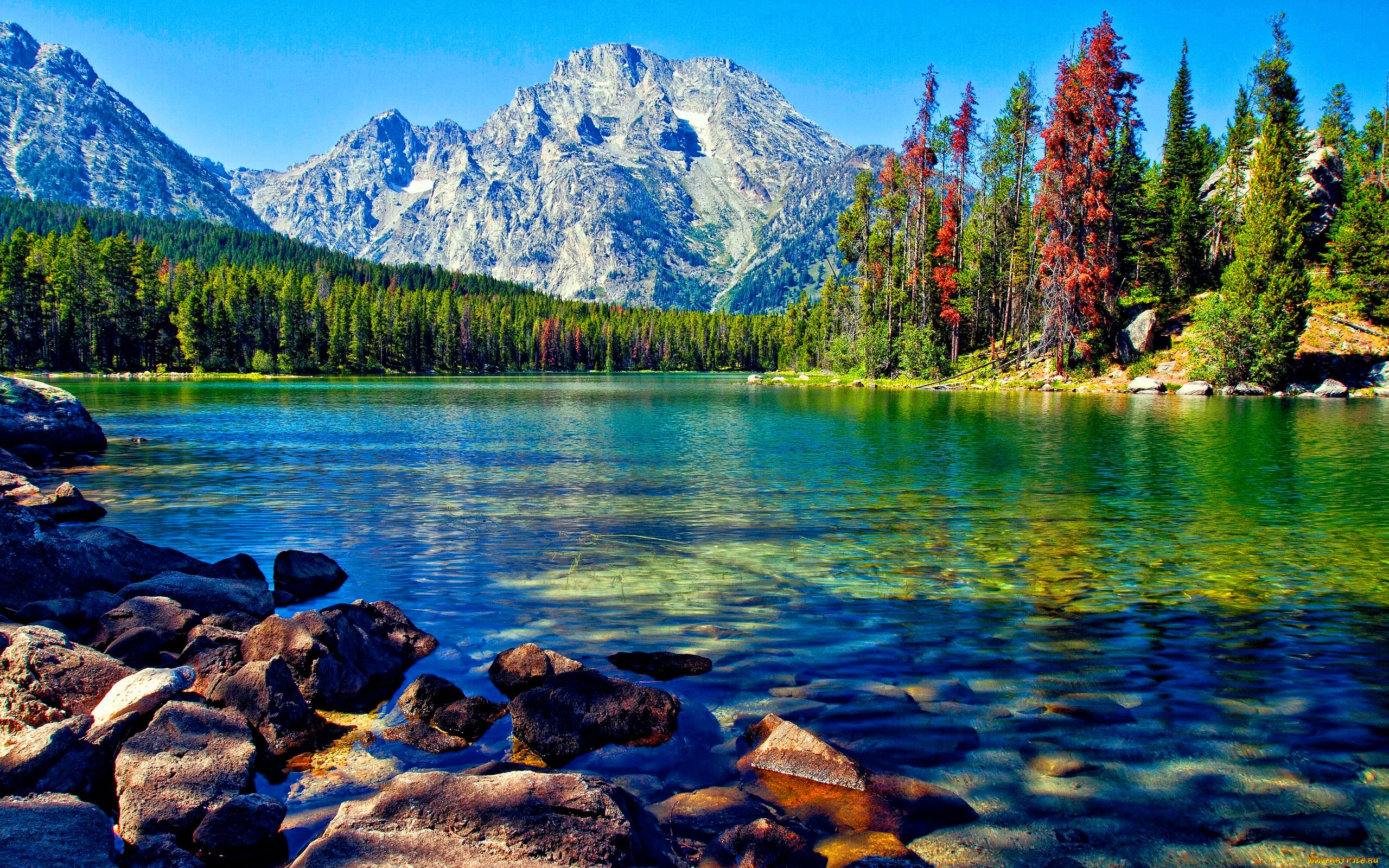 Beautiful Lake Portrait