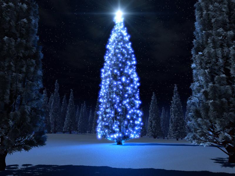 Blue Christmas Tree Picture Backgrounds