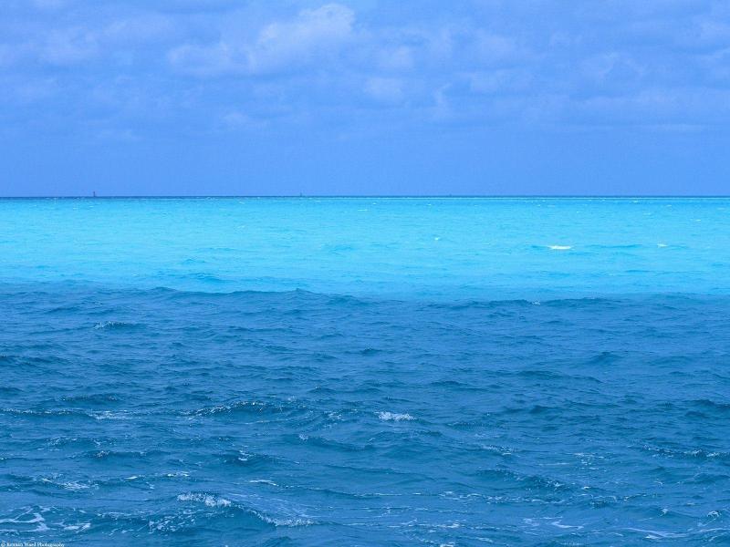 Blue Ocean Design Backgrounds