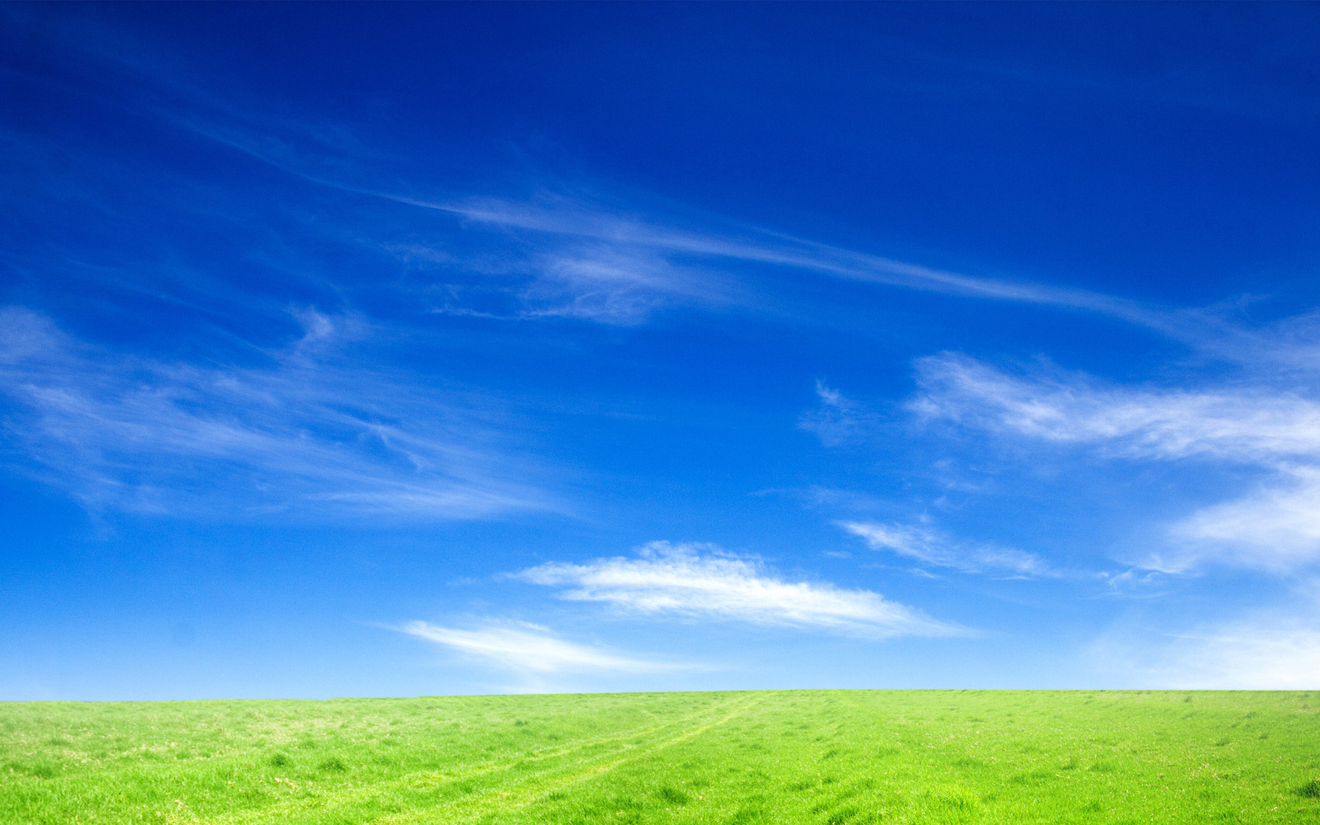 Blue Sky and Green Grass Hd Backgrounds for Powerpoint Templates - PPT