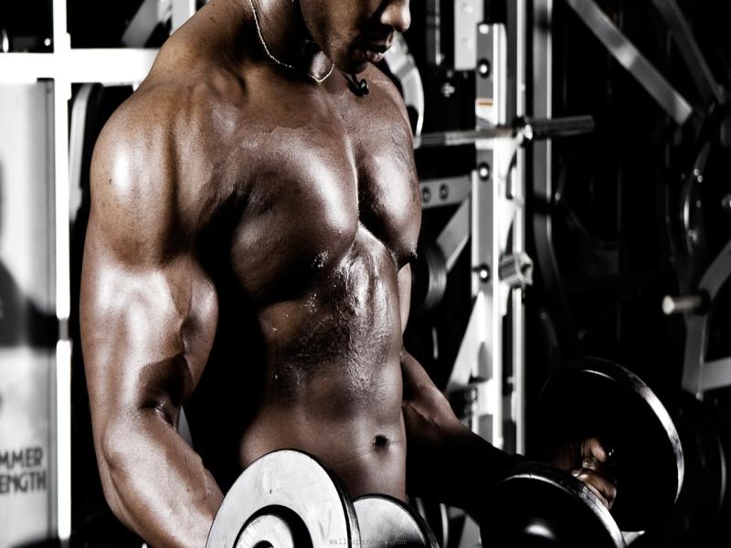 Bodybuilding Frame Backgrounds