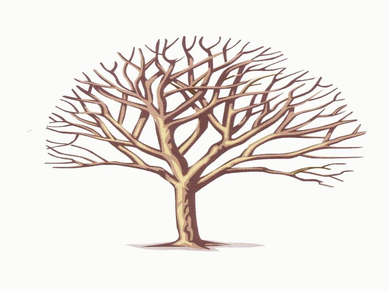 Branches Clipart Backgrounds