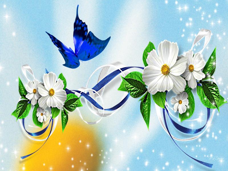 Butterflies HD presentation Backgrounds