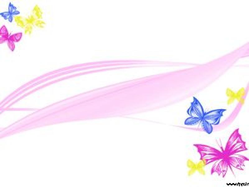 Butterflies Templates Design Backgrounds