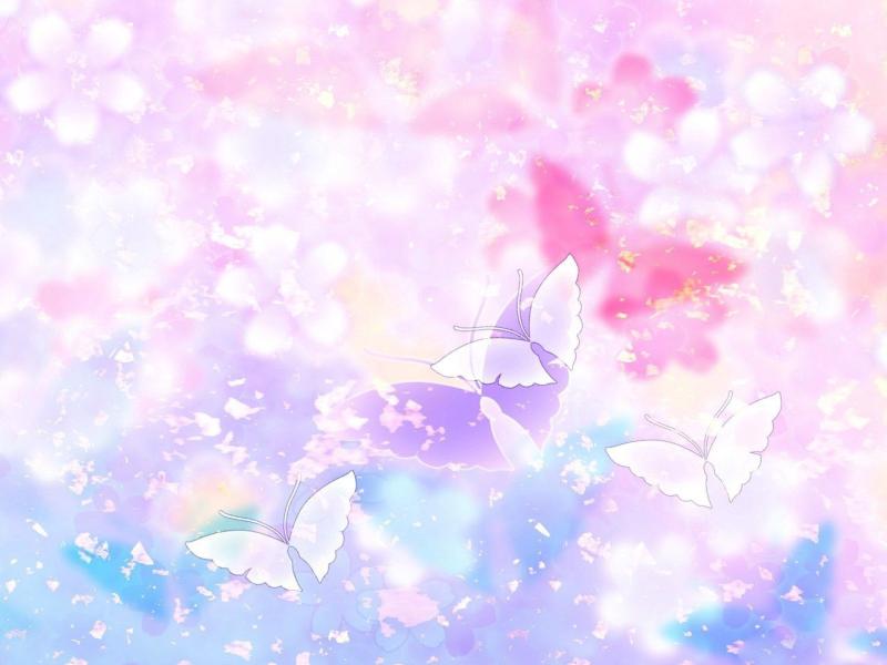 Butterfly Hd Slides Backgrounds