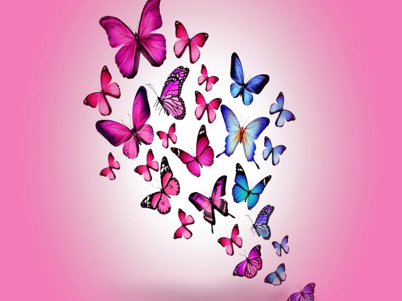 Butterfly Pink Art Backgrounds
