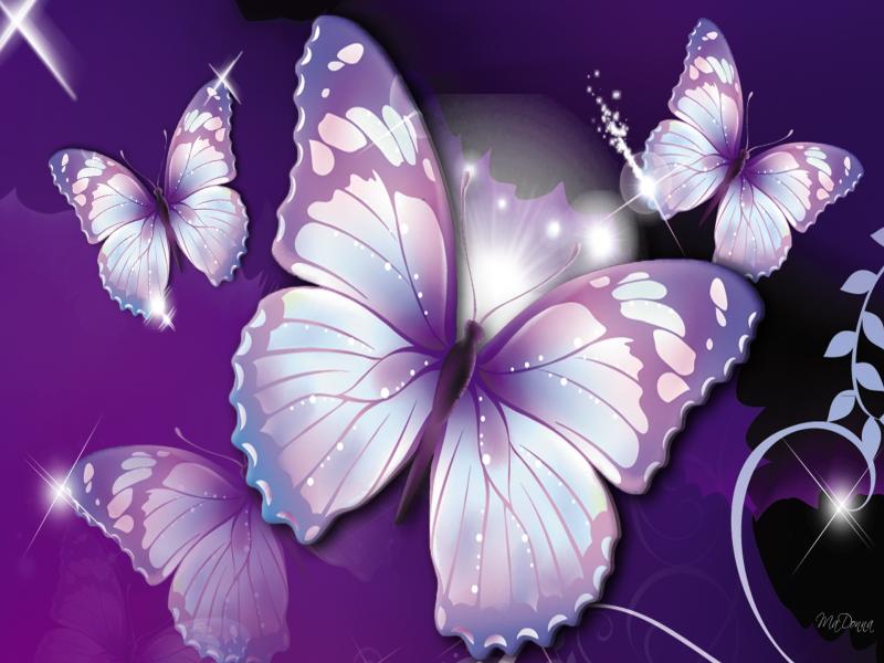 Butterflys  Bests Art Backgrounds