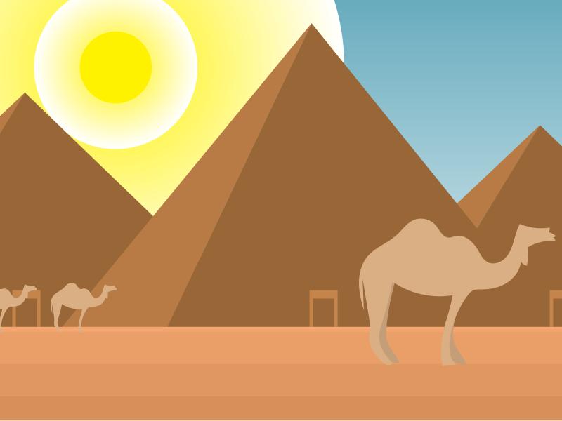 Camel Side Backgrounds