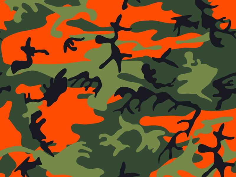 Camo  Cave Backgrounds
