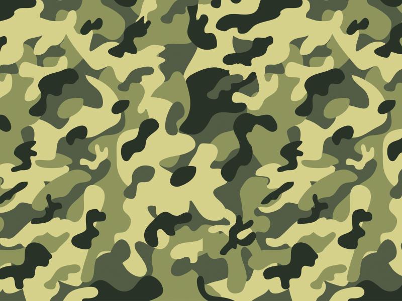 Camo Hds Slides Backgrounds