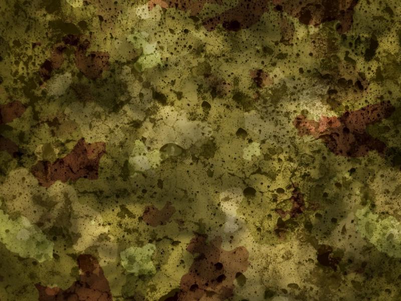 Camouflage Related Keywords and Suggestions  Camouflage   Picture Backgrounds