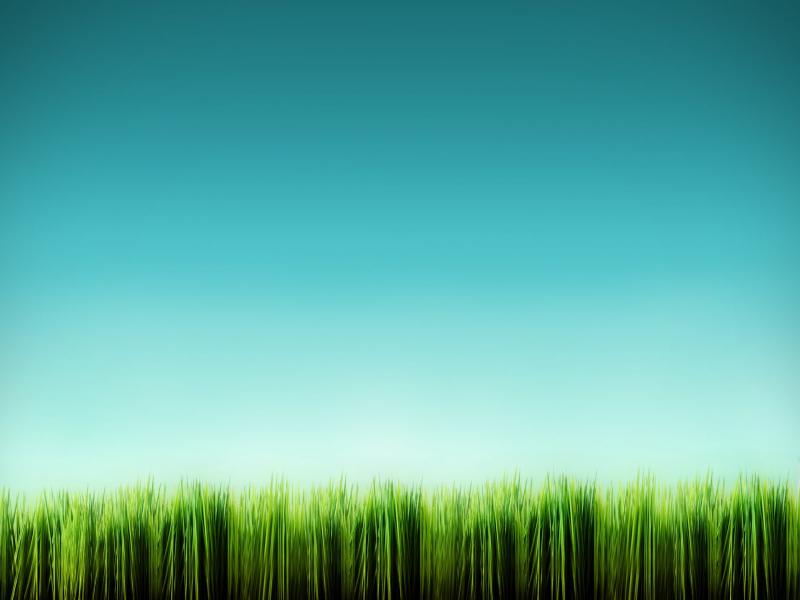 Cartoon Grass  Cartoon Picture Backgrounds