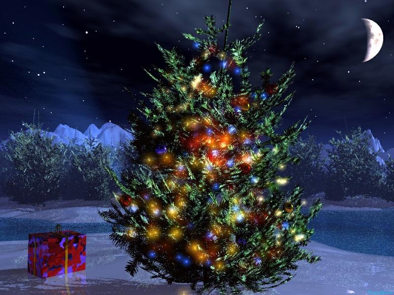 Christmas Tree Christmas Tree Template Backgrounds