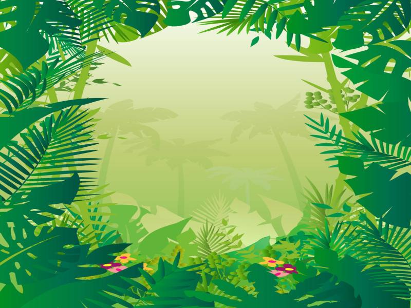 Clipart Jungle and Pictures  Becuo Photo Backgrounds