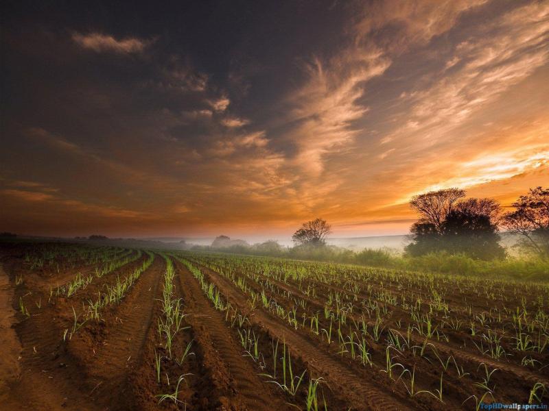 Cloudy Sky Farm Frame Backgrounds