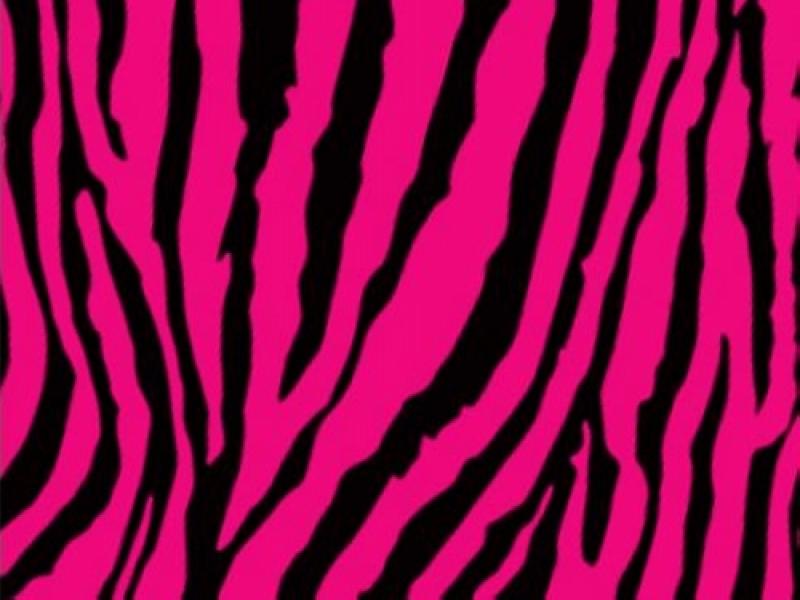 Cool Zebra Print Hot Pink Zebra Print Presentation Backgrounds