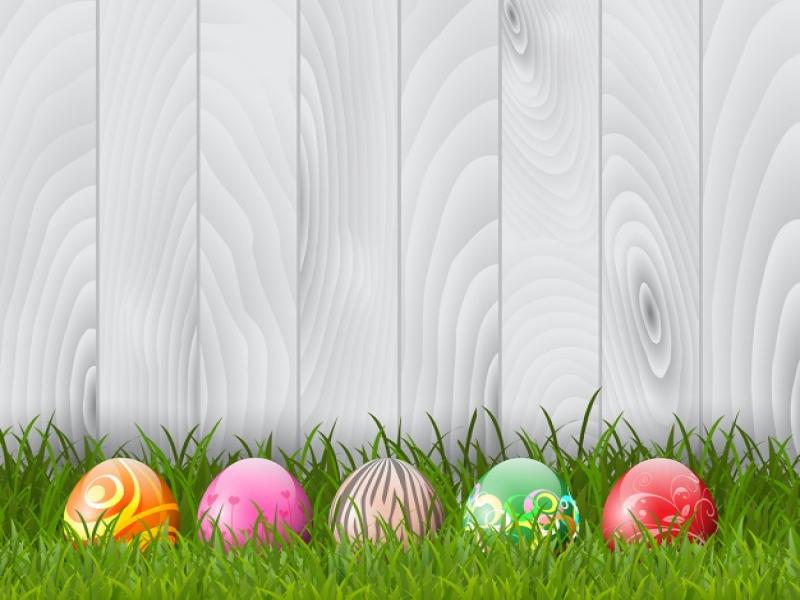 Decorative Easter Eggs Grass Backgrounds