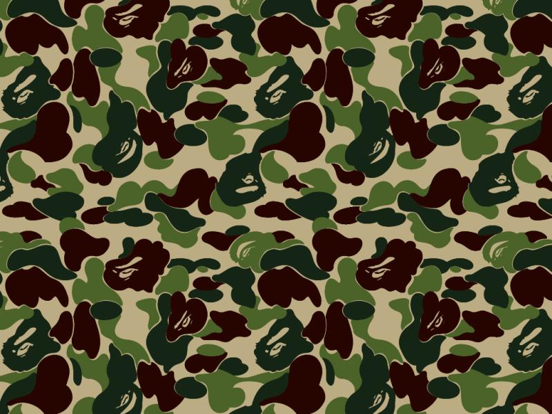 Descriptions Camo Is A Hi Res For Pc Desktops   Wallpaper Backgrounds