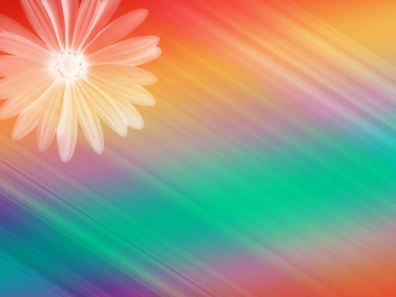 Design Rainbow Lorful Image You Can Use PowerPoint   Slides Backgrounds