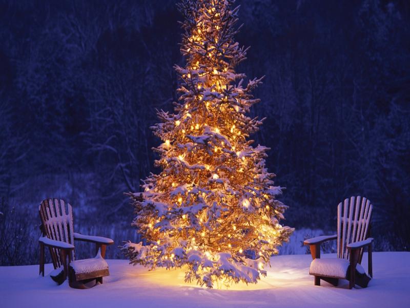 Desktop Christmas Tree  Hd   Backgrounds