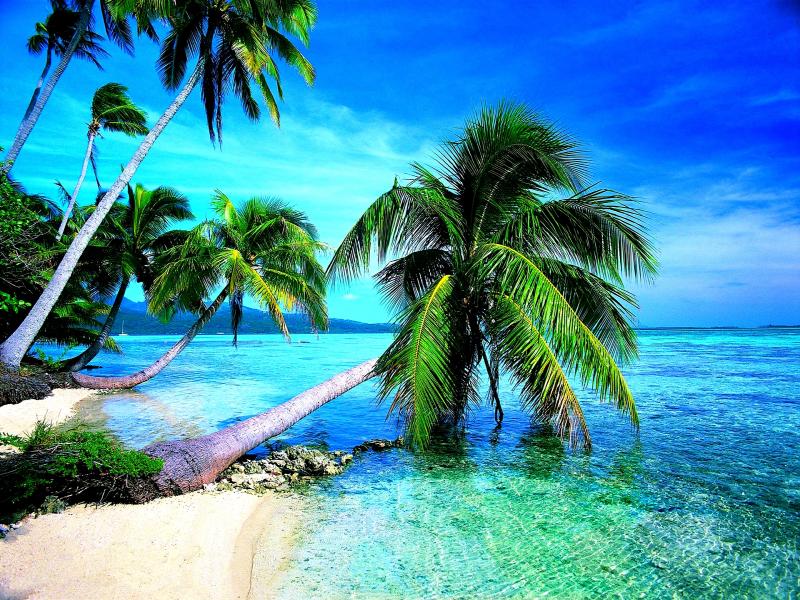 Download Tropical Beach Imagess  Desktop For   Clipart Backgrounds