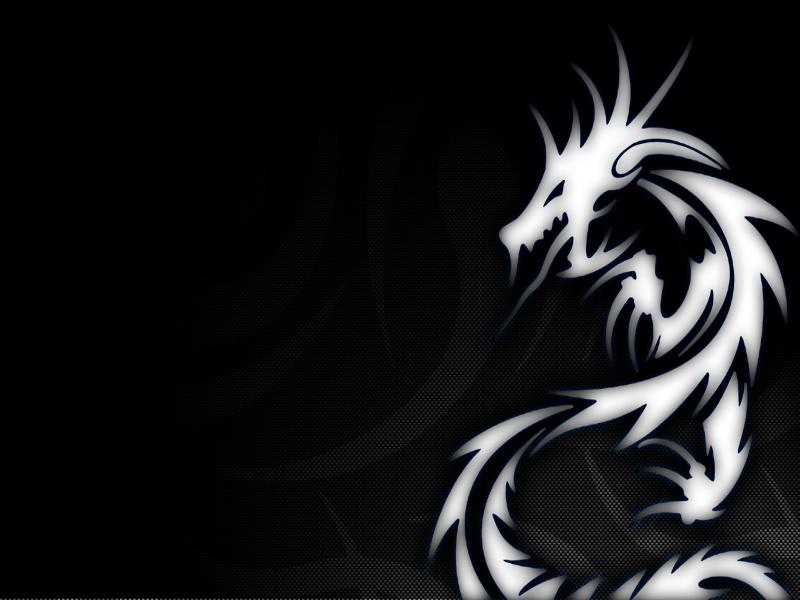 Dragon Logo Designs Art Backgrounds