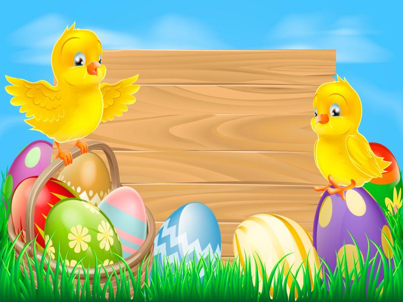 Easter With Eggs and Chickens Backgrounds
