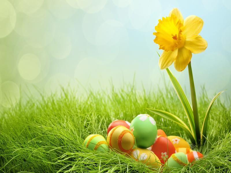Easters Picture Backgrounds