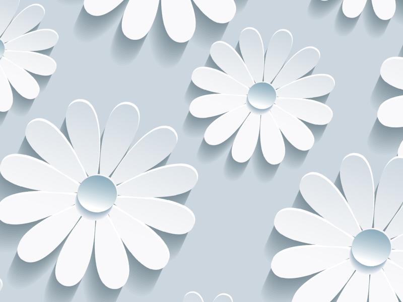 Elegant Flower Pattern On Blue Backgrounds