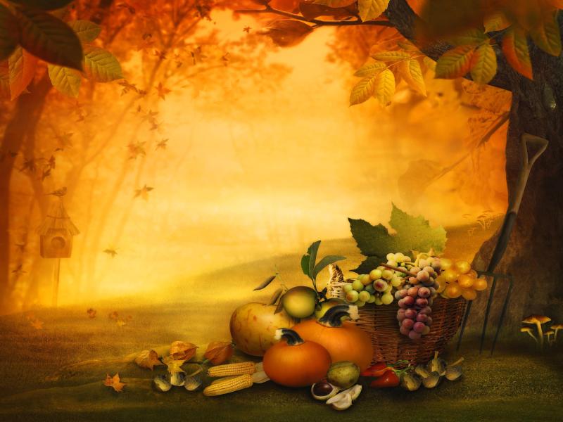 Fall Thanksgiving Template Backgrounds