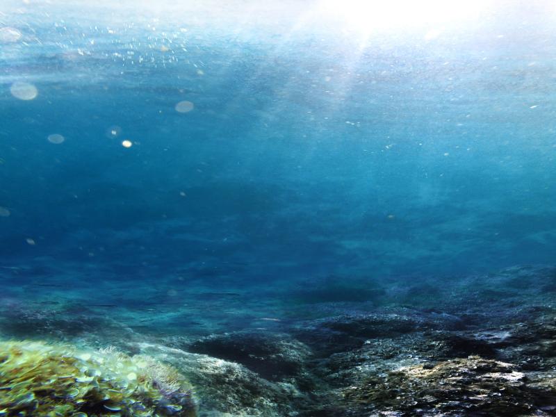 Fantastic Underwater Walpaper Art Backgrounds