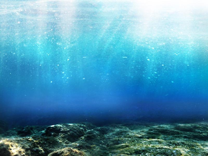 Fantastic Underwater Walpaper Hd Design Backgrounds