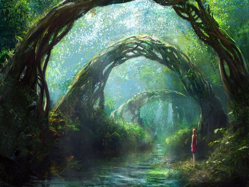 Fantasy Forest Wide Or HD  Fantasys Backgrounds