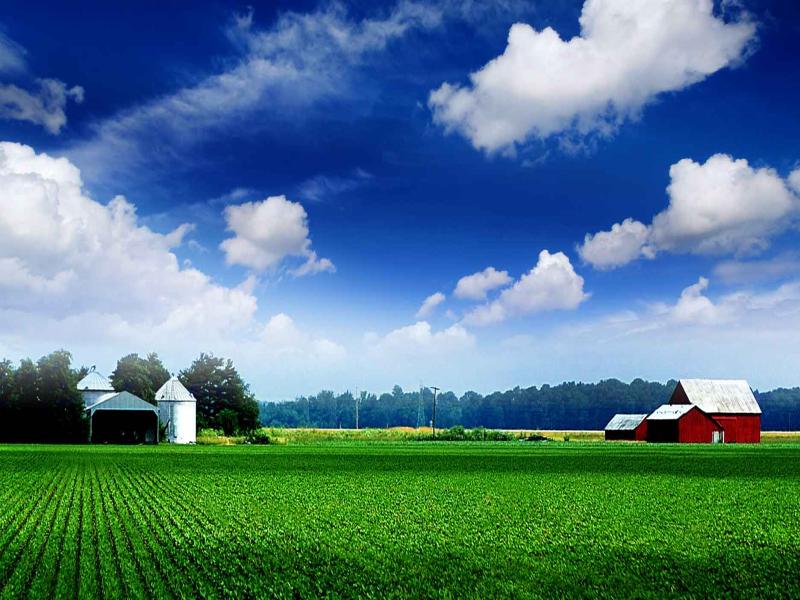 Farm Photo Design Backgrounds