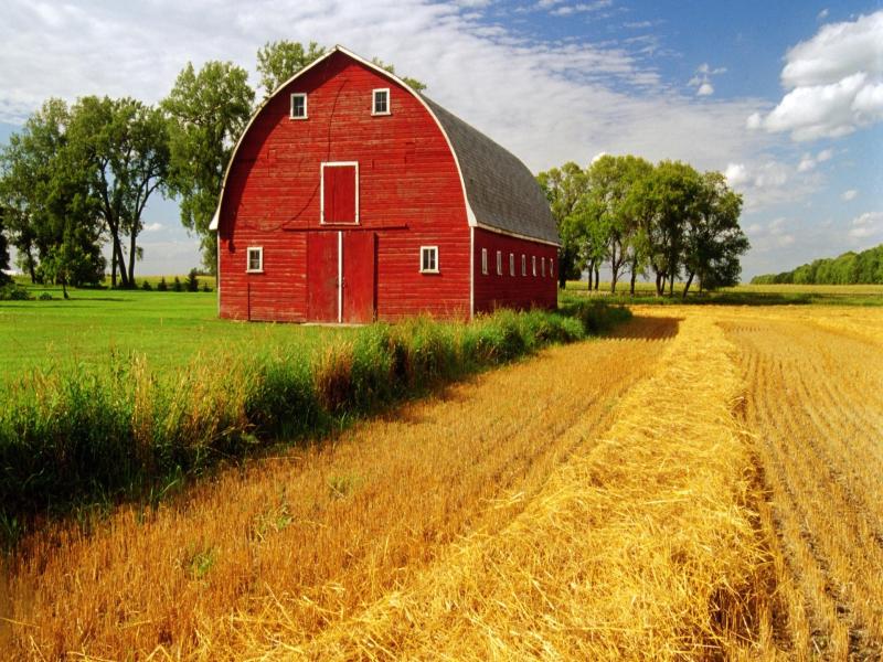 Farm Stall Horse Barn Located Wallpaper Backgrounds