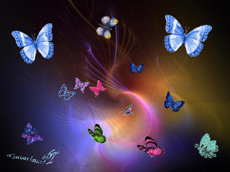 Flies  Butterflies Clip Art Backgrounds