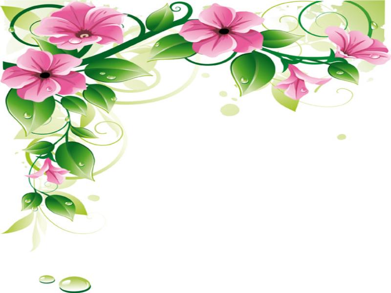 Floral Border Clip Art Backgrounds