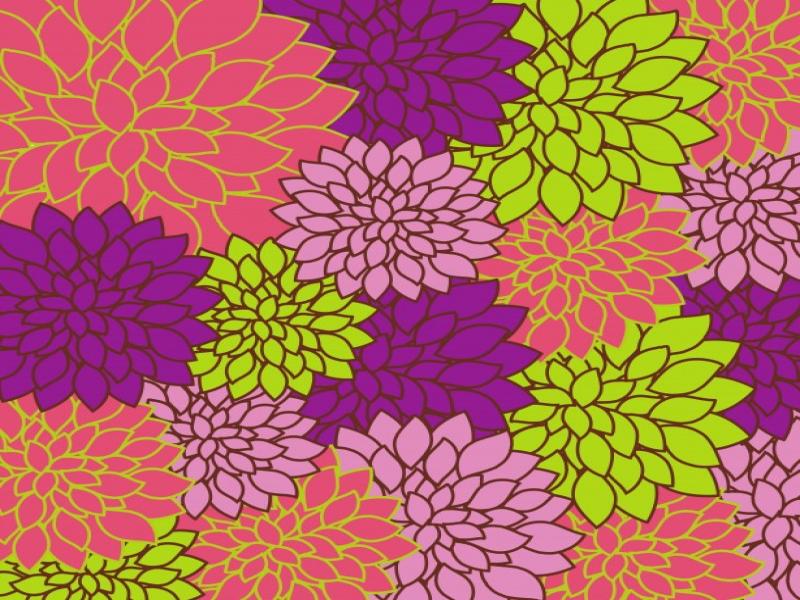 Floral Bright Colorful Free Stock Photo  Public Domain   Wallpaper Backgrounds