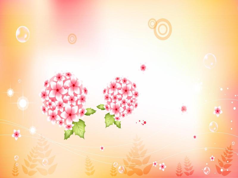 Floral Design Clip Art Backgrounds